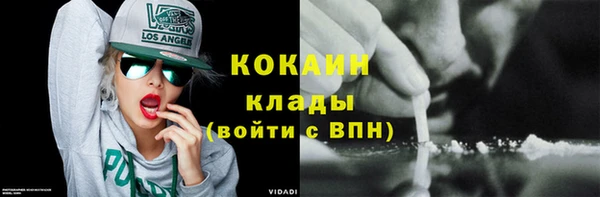 молекула духа Михайлов