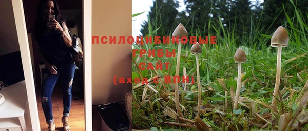 МДМА Протвино