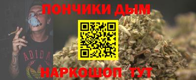 гидропоника Бийск