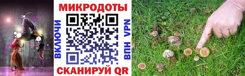цены Старый Оскол нарко площадка какой сайт Галлюциногенные грибы Magic Shrooms