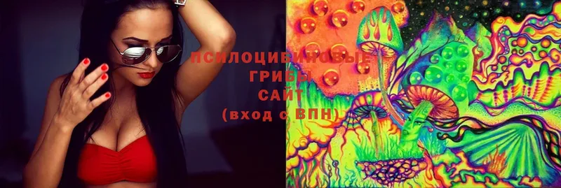 Галлюциногенные грибы MAGIC MUSHROOMS  Старый Оскол 